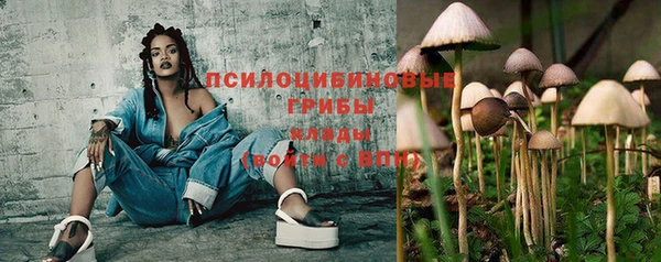 марки lsd Богородицк