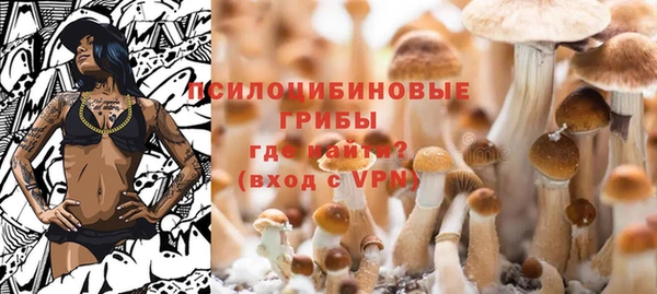 марки lsd Богородицк