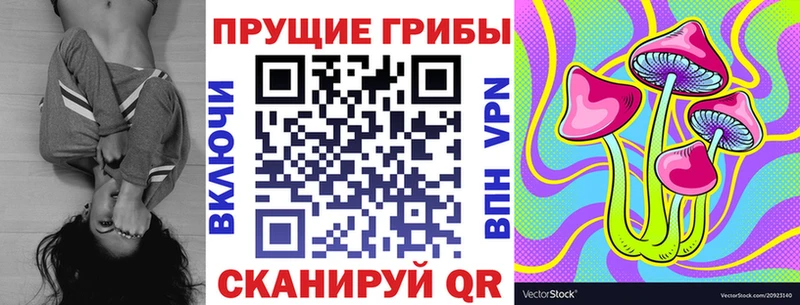 Галлюциногенные грибы Psilocybe  Невель 